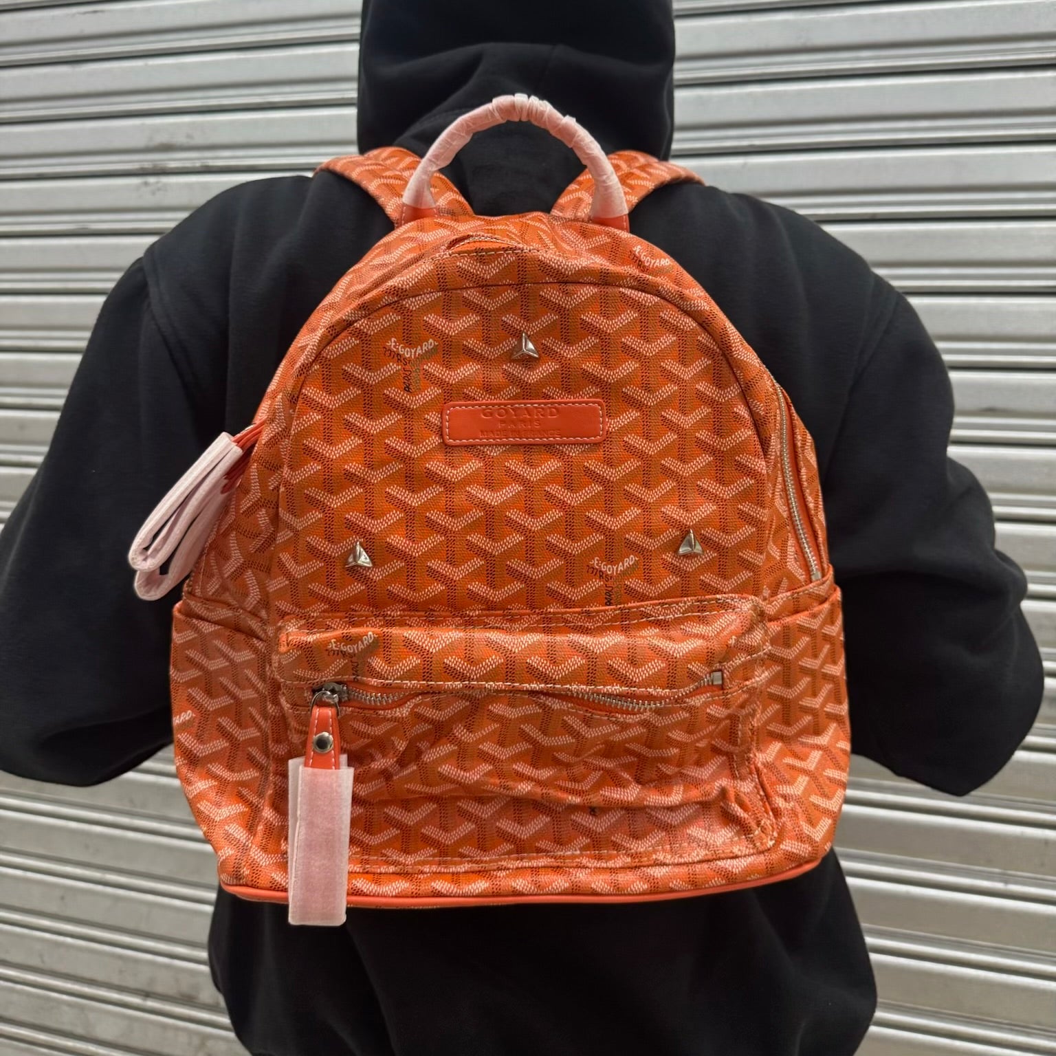 Goyard Monogram Backpack